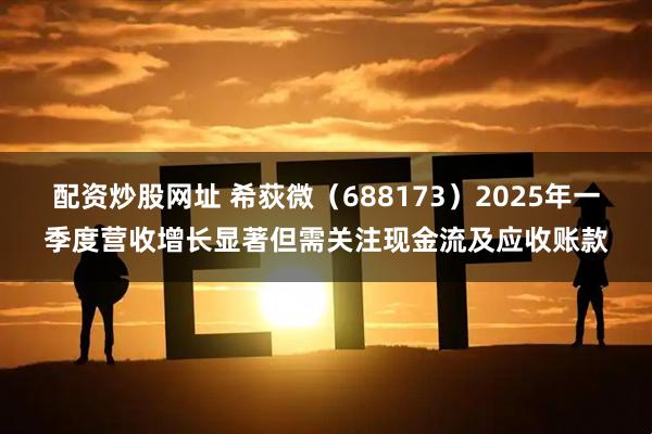 配资炒股网址 希荻微（688173）2025年一季度营收增长显著但需关注现金流及应收账款